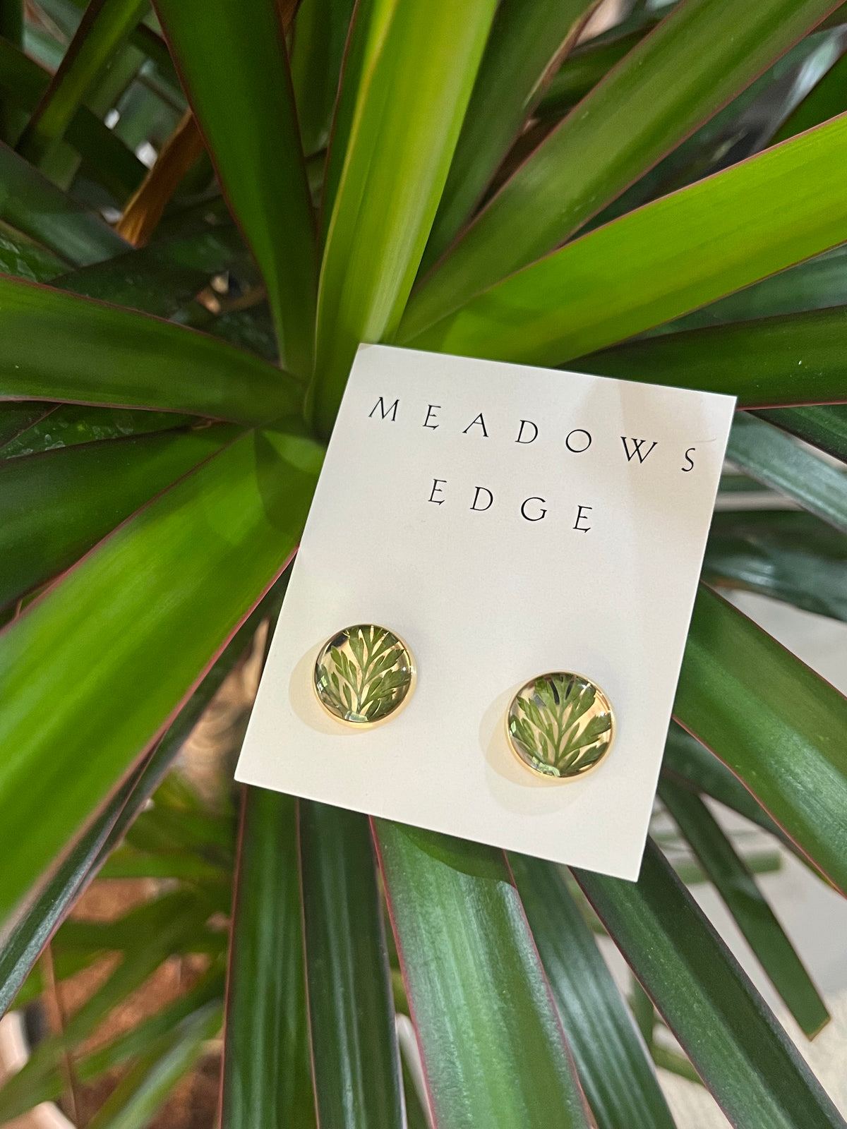 Fern Stud Earrings