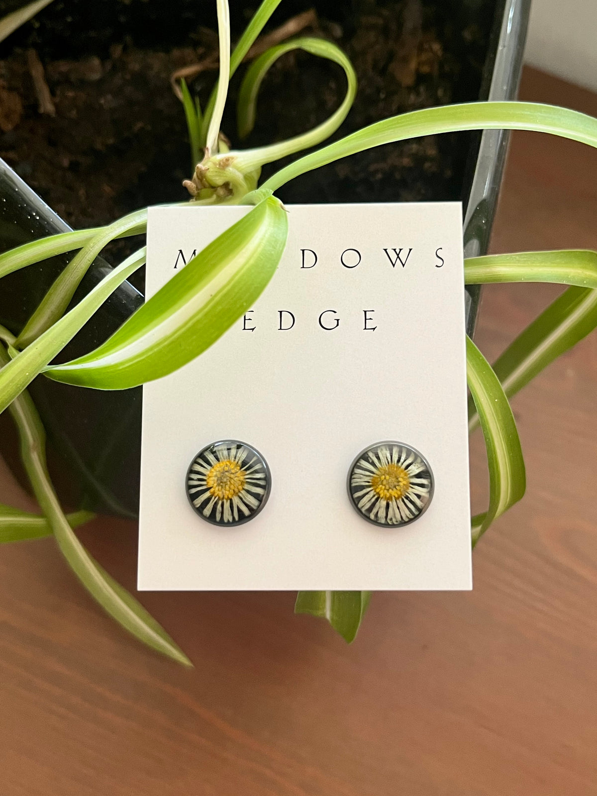Daisy Stud Earrings