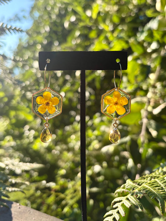 Buttercup Citrine Hoops