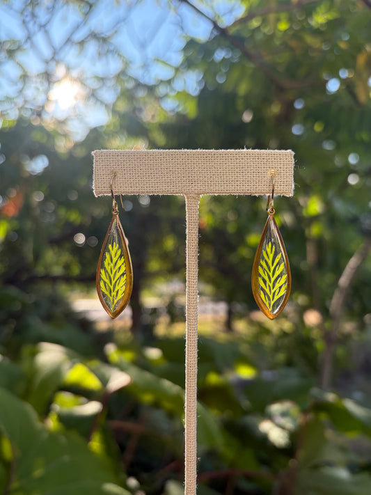 Fern & Brass