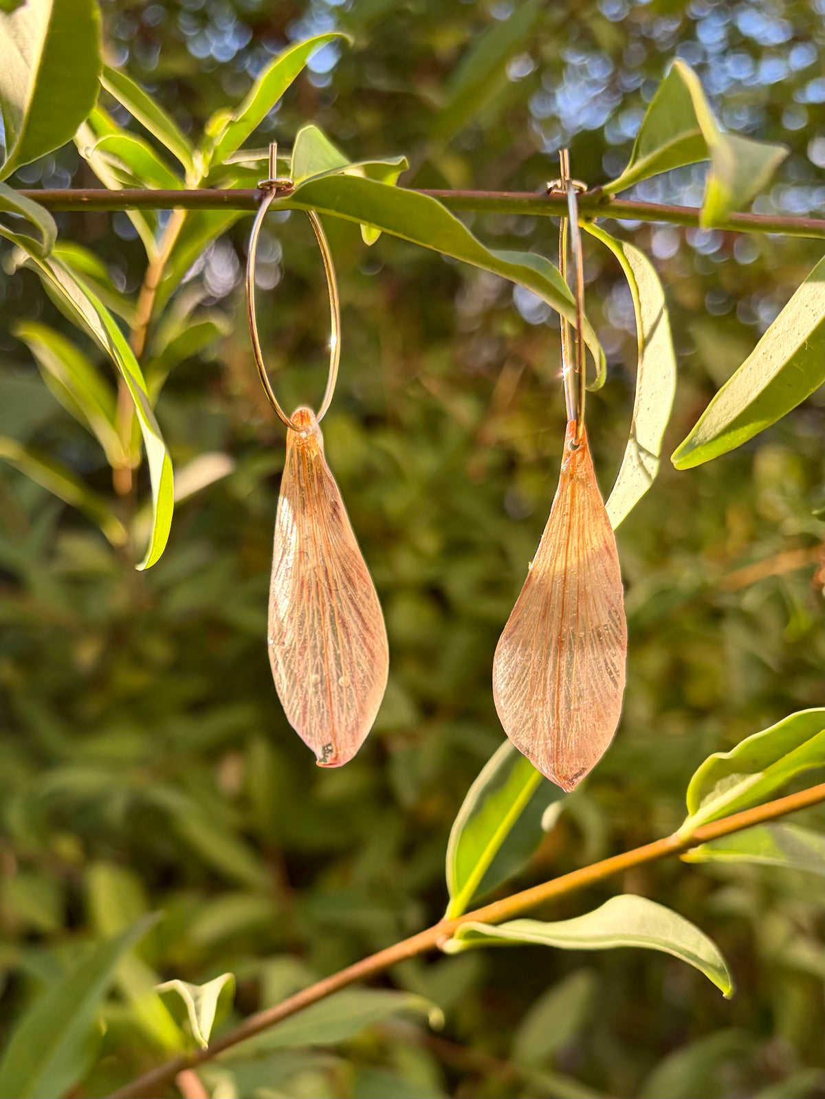 Astroemeria Flower Petal Hoops
