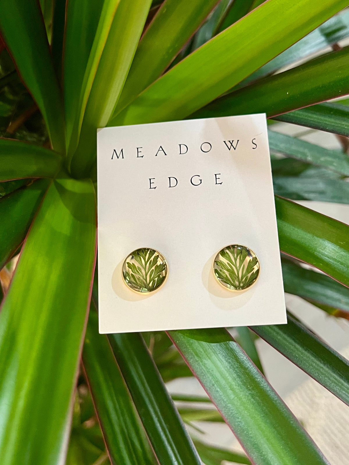 Fern Stud Earrings
