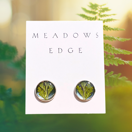 Forest Fern Earrings