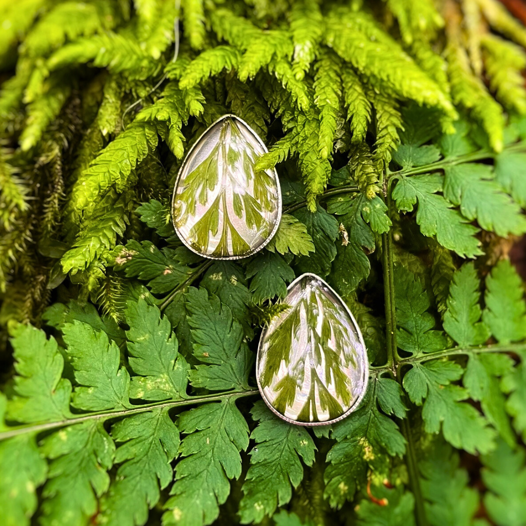 Forest Fern Teardrop Earrings