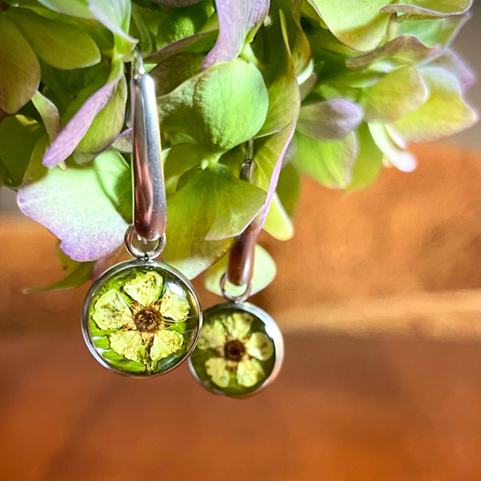 Meadowsweet & Sage Earrings